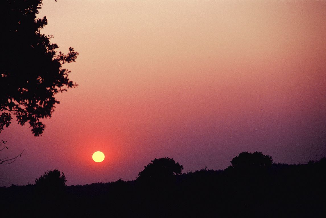 sunset_0001.jpg