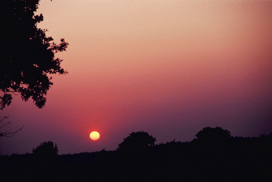sunset_0002.jpg