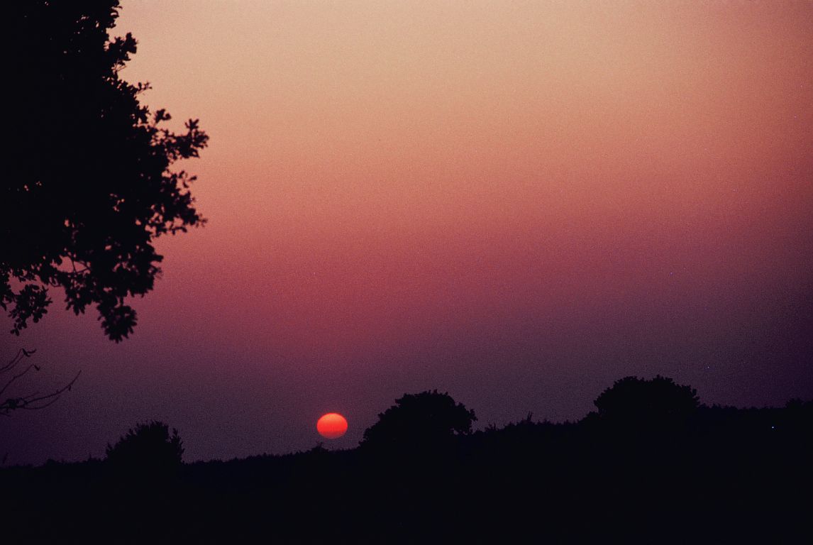 sunset_0003.jpg