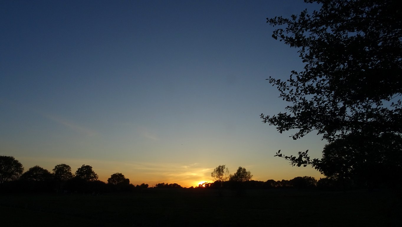 sunset_0375.jpg