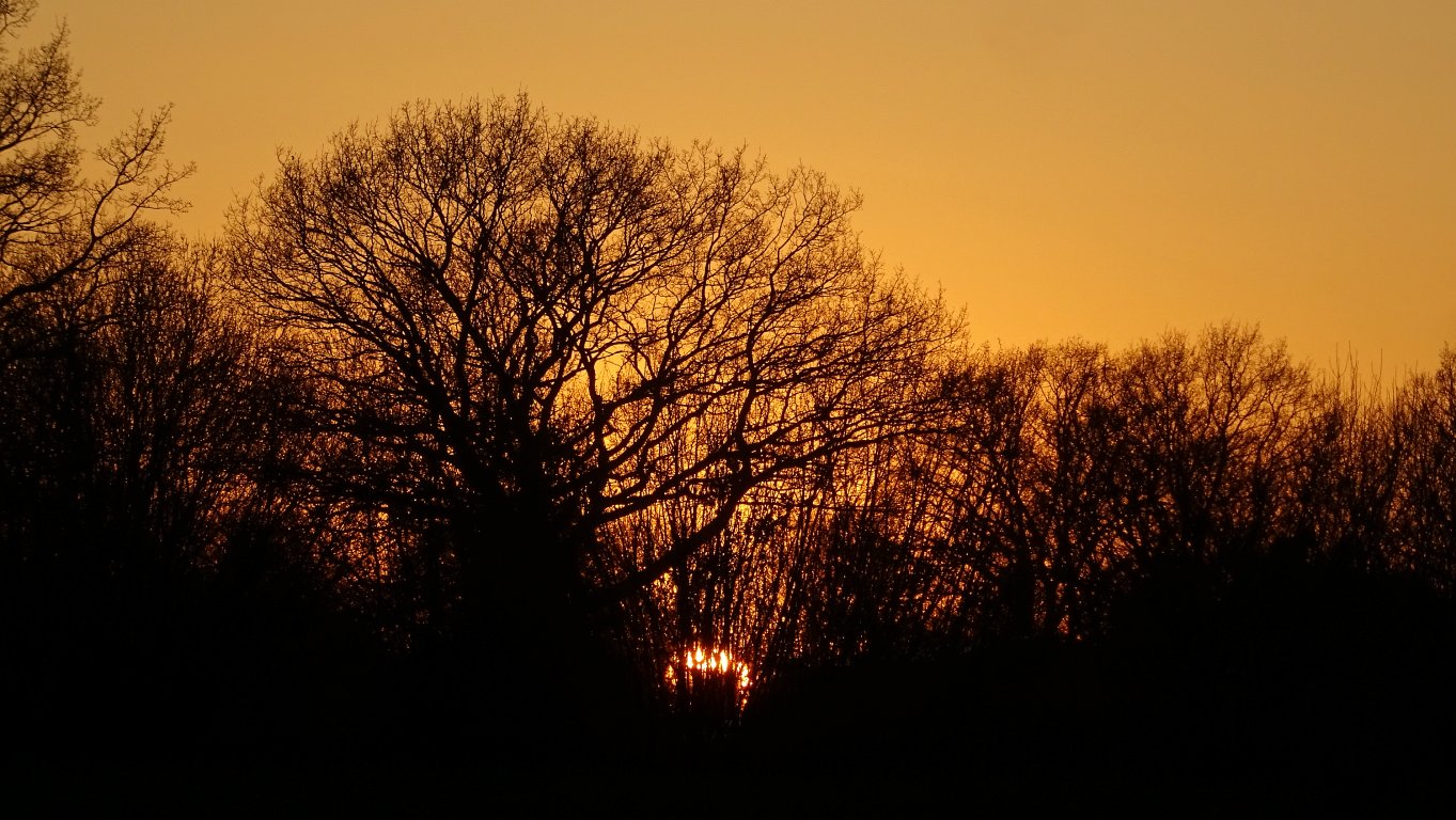 sunset_0540.jpg