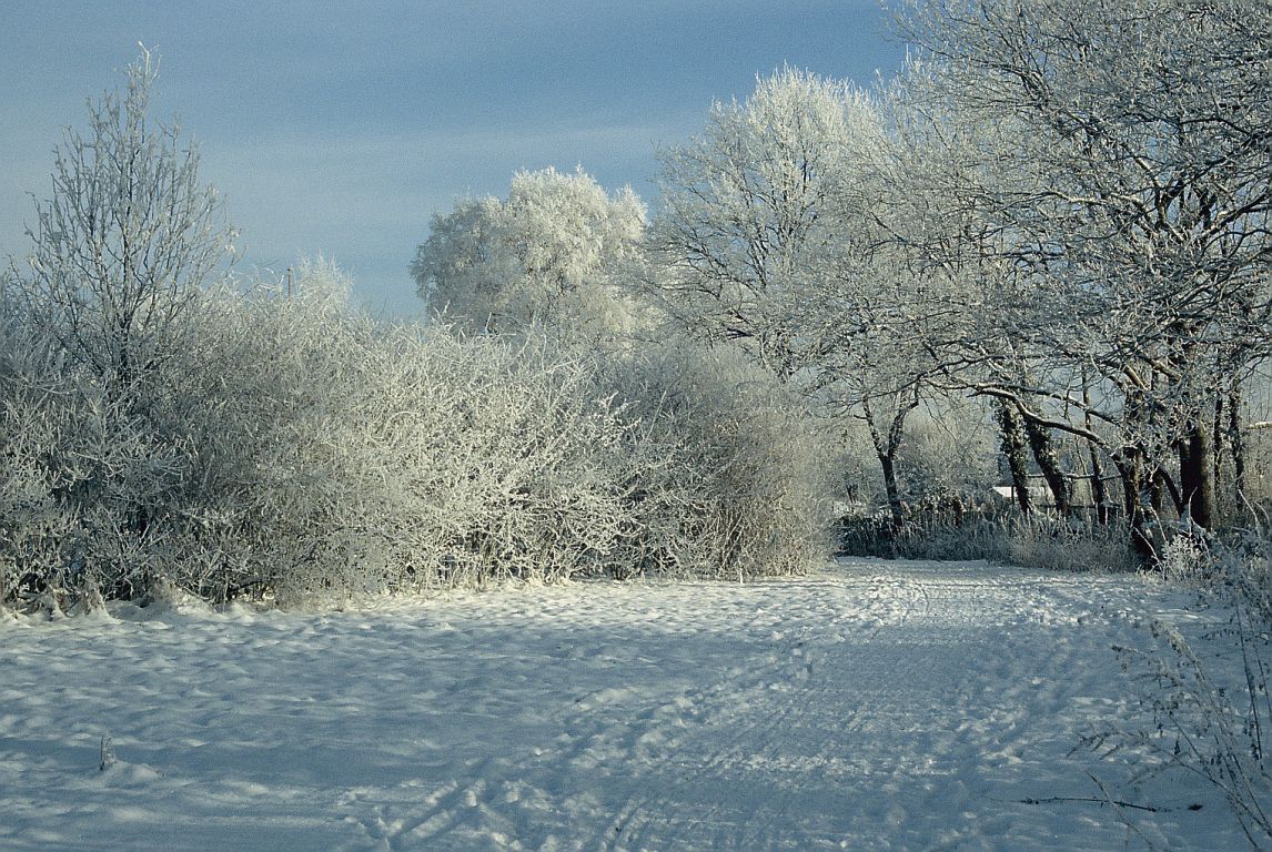 winter_0006.jpg