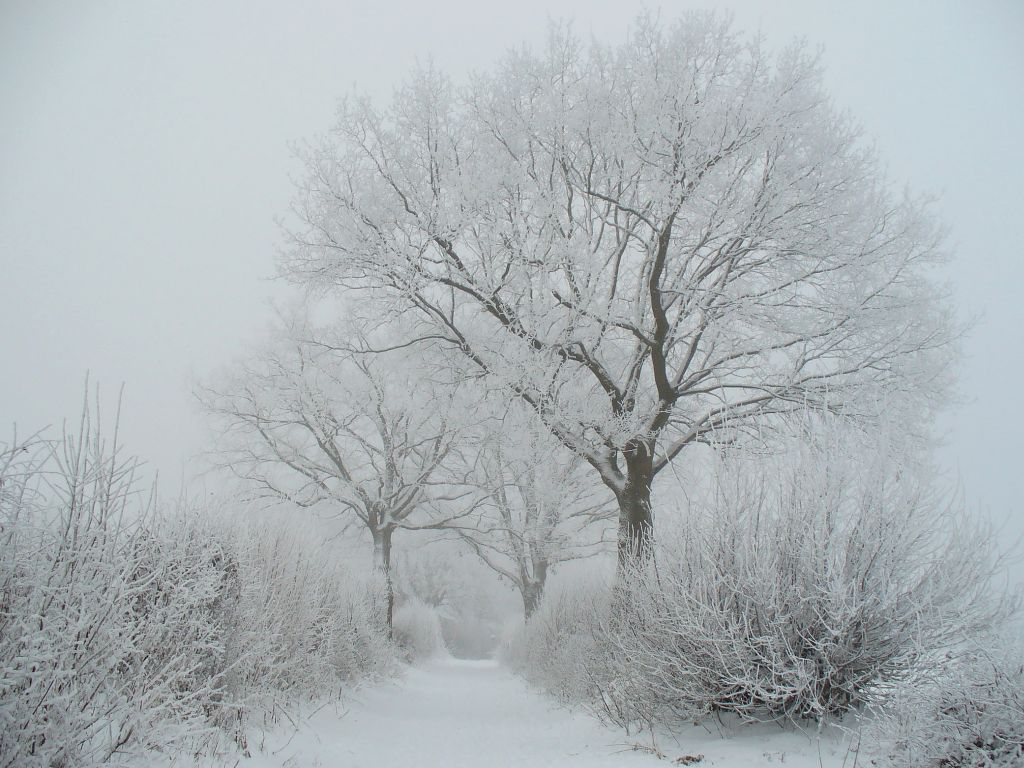 winter_0259.jpg