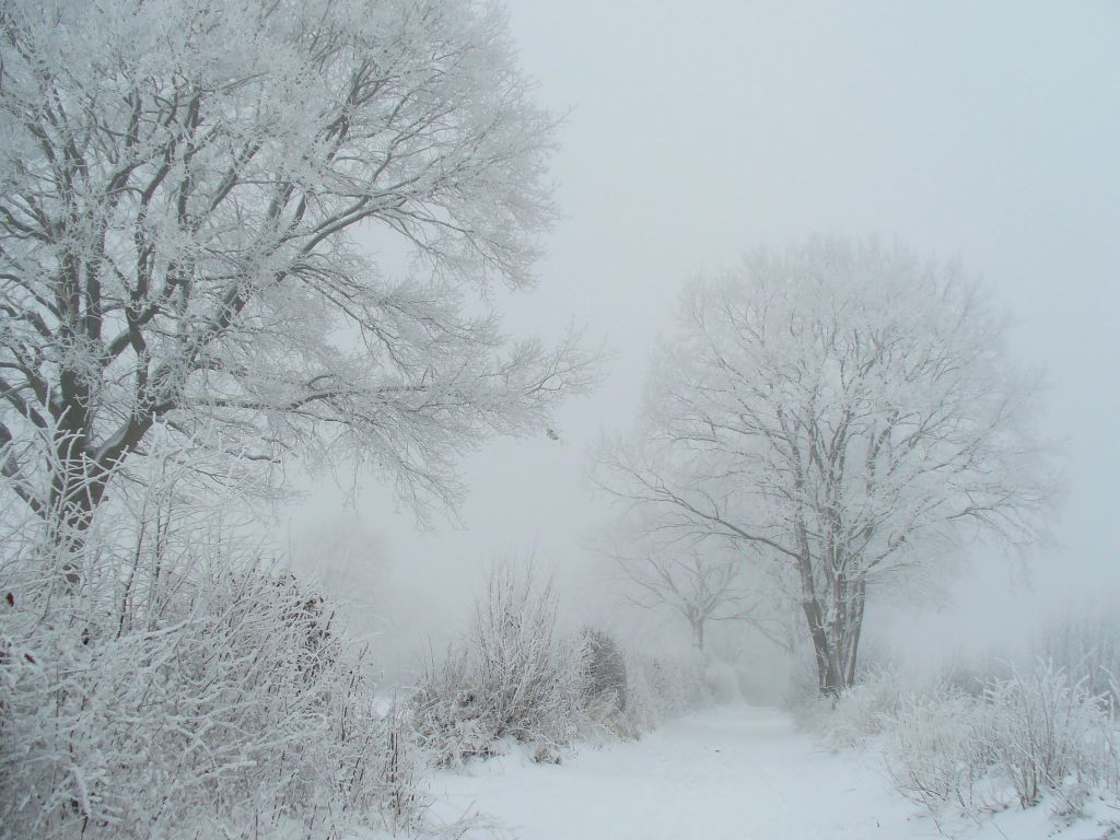winter_0262.jpg